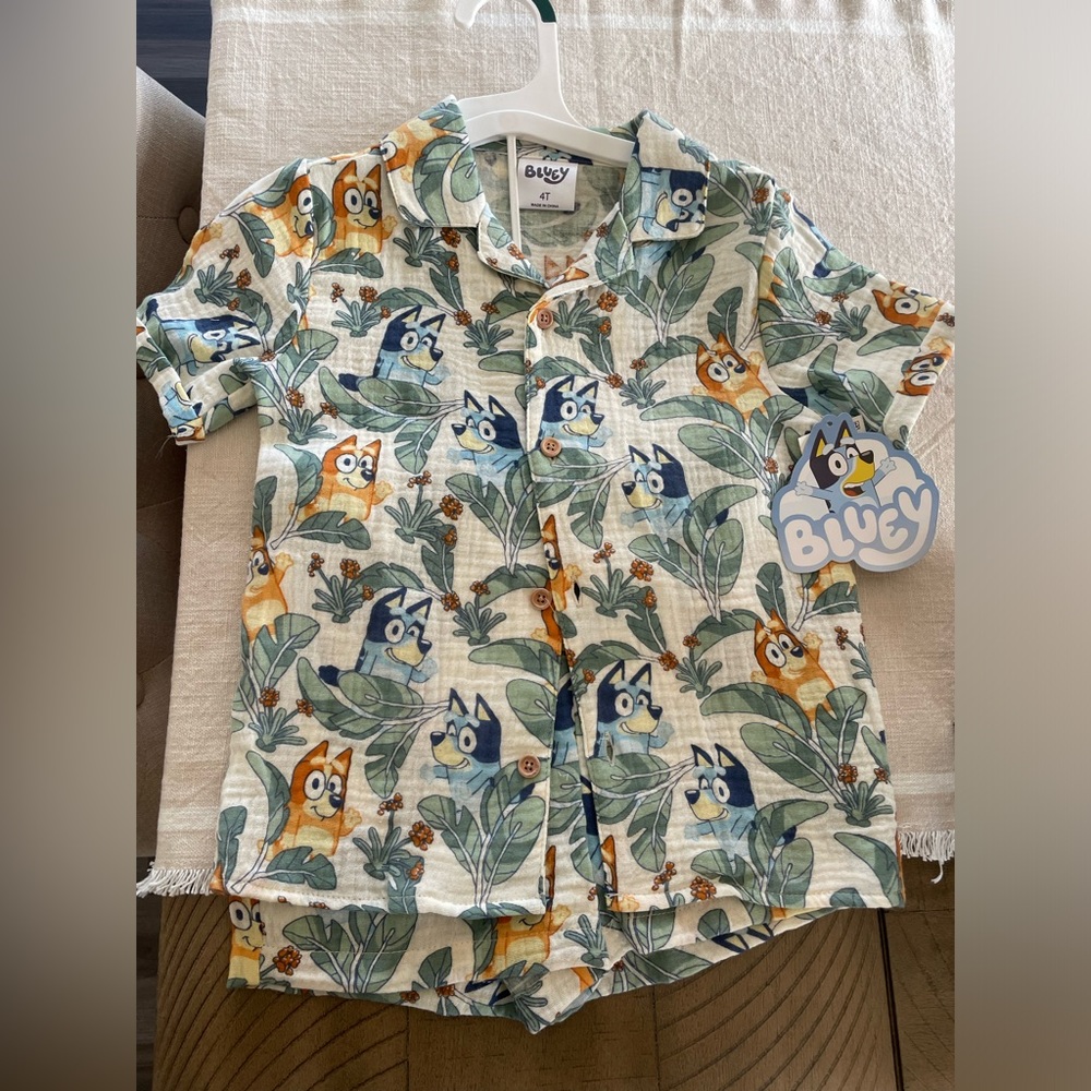 Bluey Set